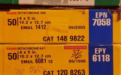 Favorite Film and Why